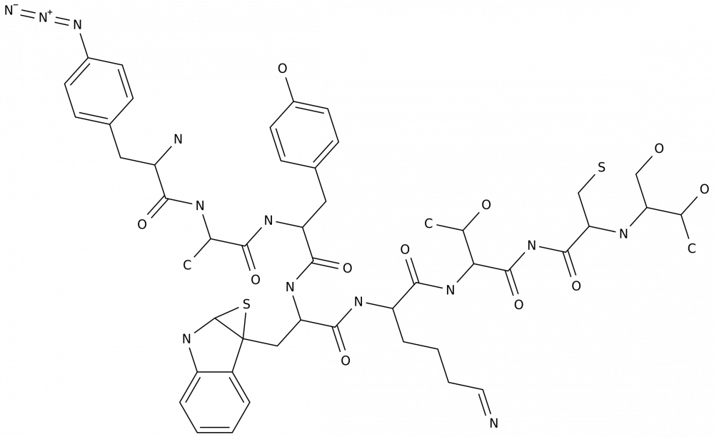 EE 581 в России