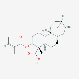 Энт-3β-Ангелоилоксикаур-16-ен-19-оик кислота в России