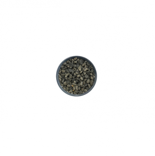 Н-(1,3-Диметилбутил)-Н'-фенил-п-фенилендиамин в России
