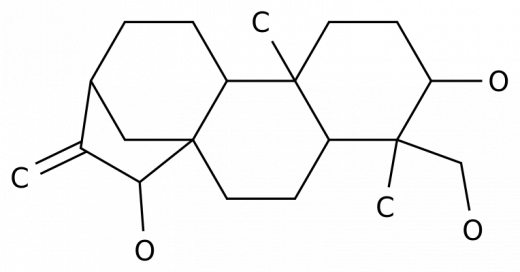 Энт-16-Каурен-3β,15β,18-триол в России
